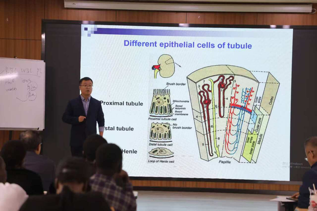 /crm/product/image/20251014/1760423735833046729.jpg 1760423735833046729.jpg